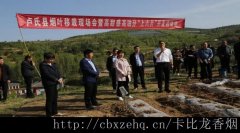由于其独特的口感和品质