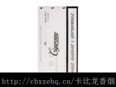 和运用白色卡比龙编号