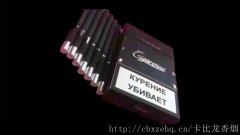 4.常考的cpue3400与卡比龙礼